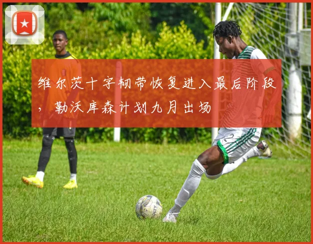 维尔茨十字韧带恢复进入最后阶段，勒沃库森计划九月出场